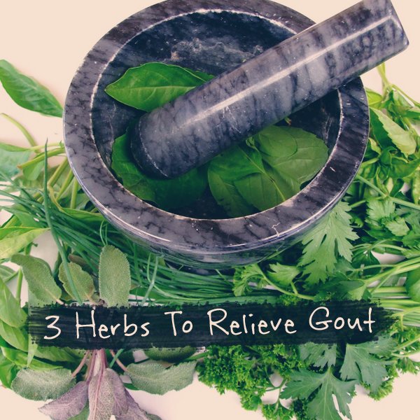 3 Herbs To Relieve Gout