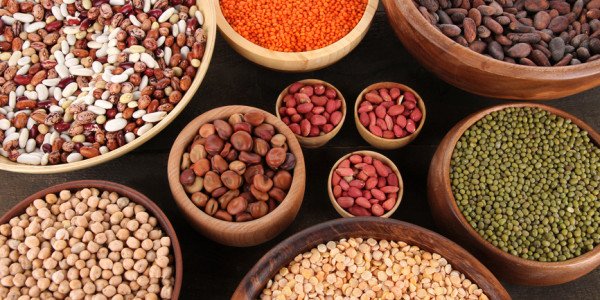 Beans in a Gout Diet. Yes or No?  Experiments on Battling Gout