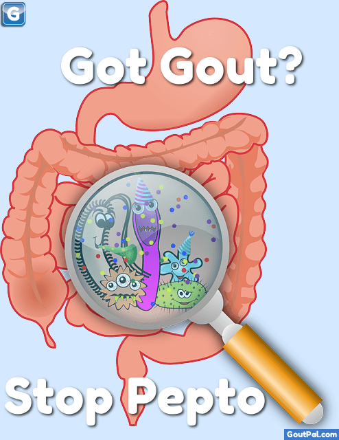 Bismuth Subsalicylate and Gout