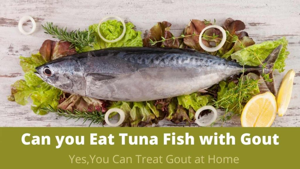 Can Tuna Fish Cause Gout? Can you Eat Tuna Fish with Gout