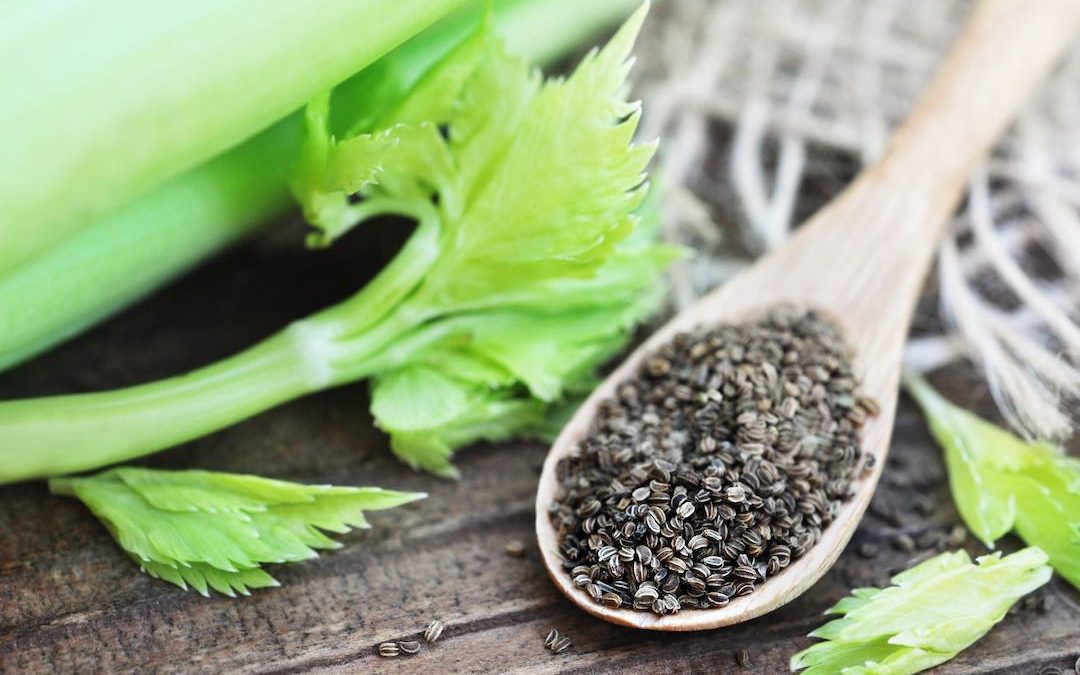 CELERY SEED &  ITS MANY BENEFITS SUCH AS GOUT PAIN RELIEF