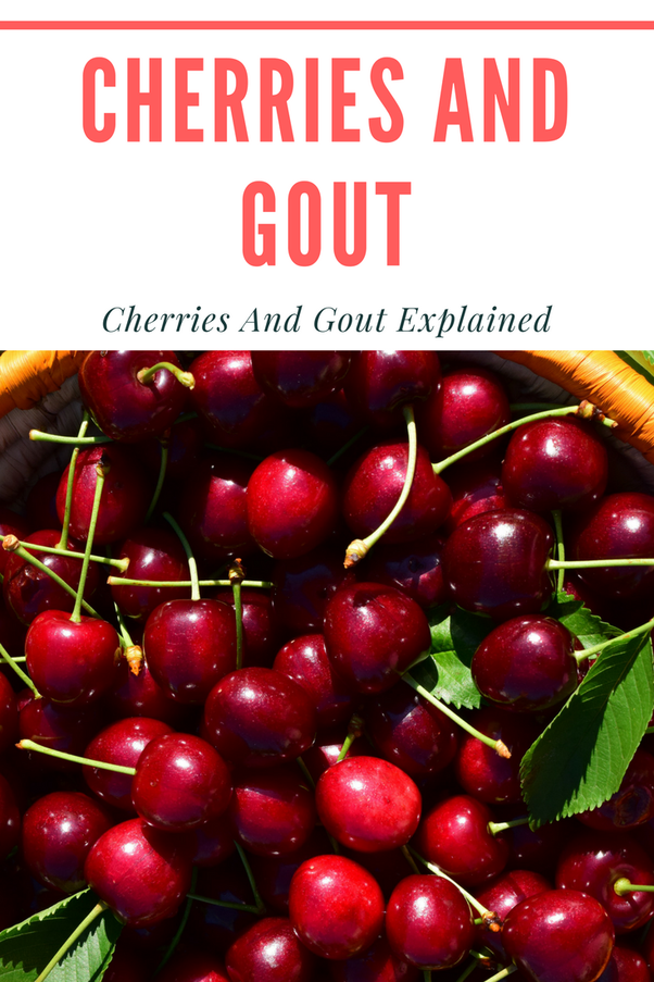 Does cherry juice alleviate the painful symptoms of gout?