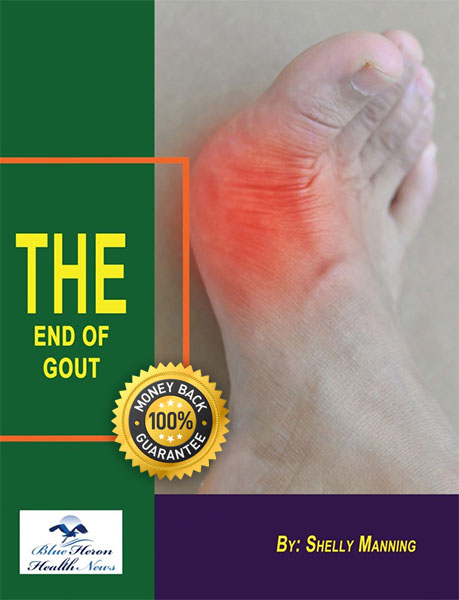 End of Gout By Shelly Manning