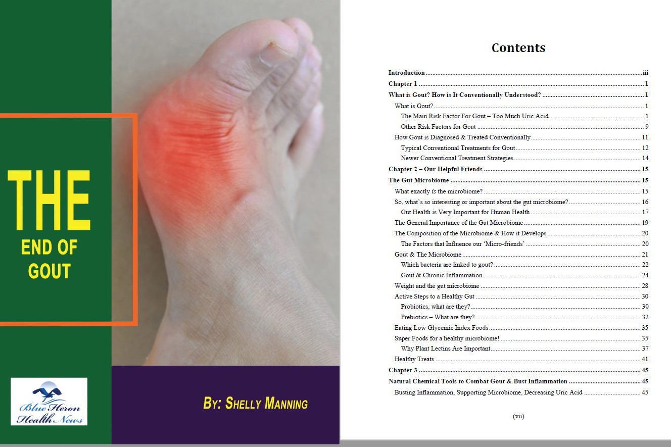 End Of Gout Reviews