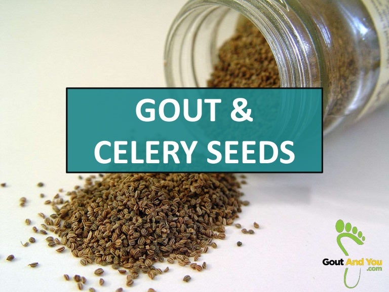 Gout and Celery Seeds