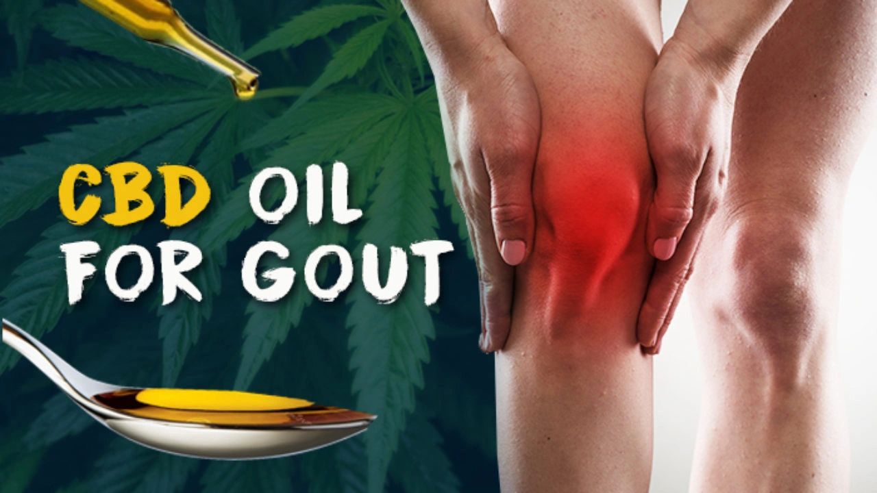 How To Take Cbd Oil For Gout : Cbd Oil Alleviates Gout ...