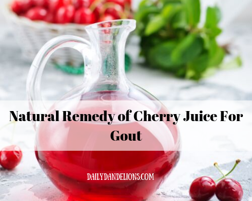 Natural Remedy of Cherry Juice for Gout