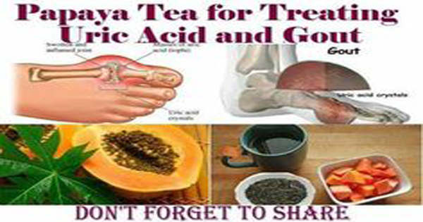Papaya Tea for Treating Gout and Uric Acid Problems....