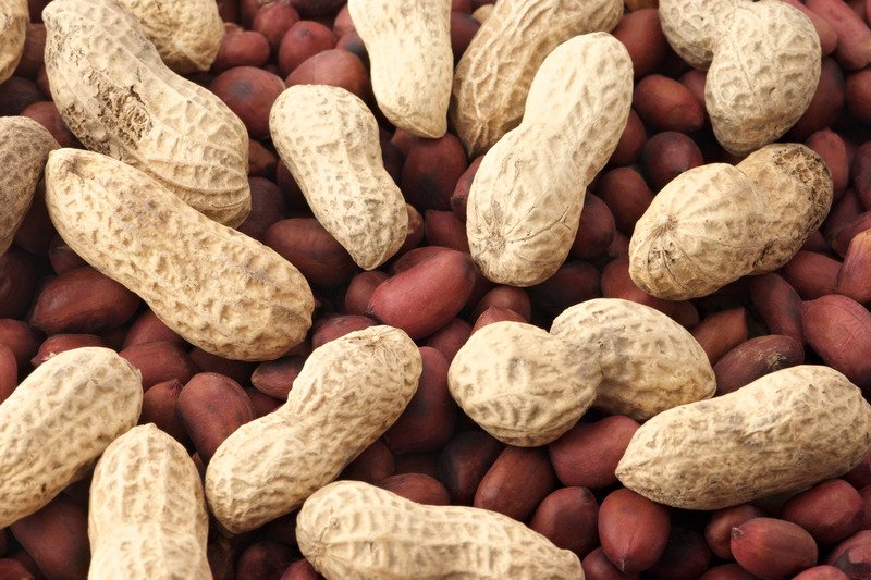 Peanuts And Gout