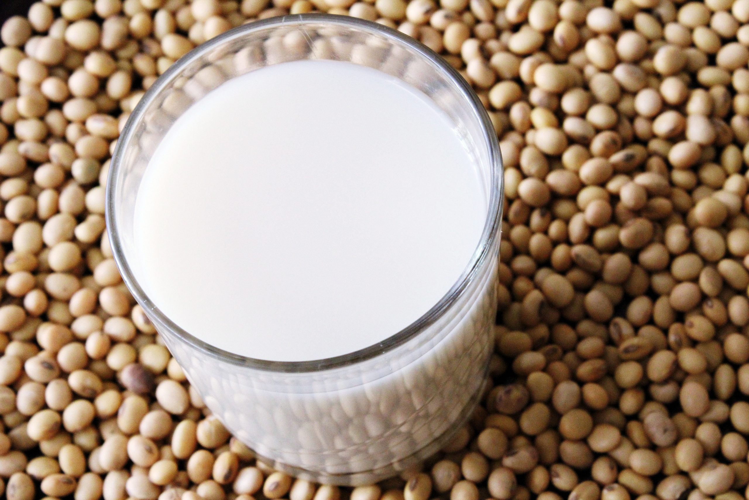 Soy milk is a trigger for Gout