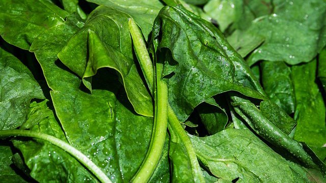 Spinach And Gout