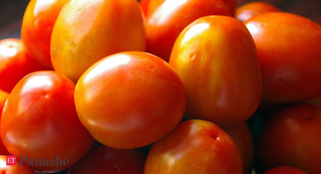 Tomatoes may cause gout to flare up: Study