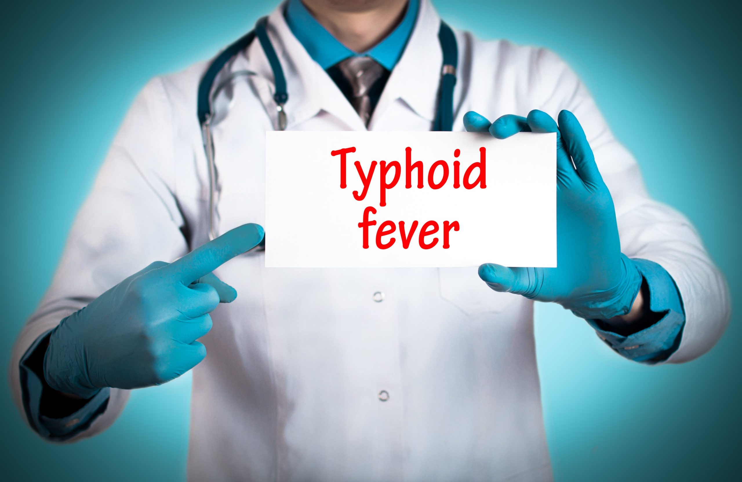 What Part Of The Body Does Typhoid Fever Attack?